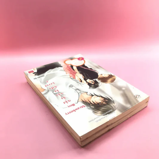 Strawberry หนุ่มซิ่วหนุ่มใสหัวใจวุ่นวาย 2 เล่มจบ - หนุ่มกรุงโซล รูปที่ 5