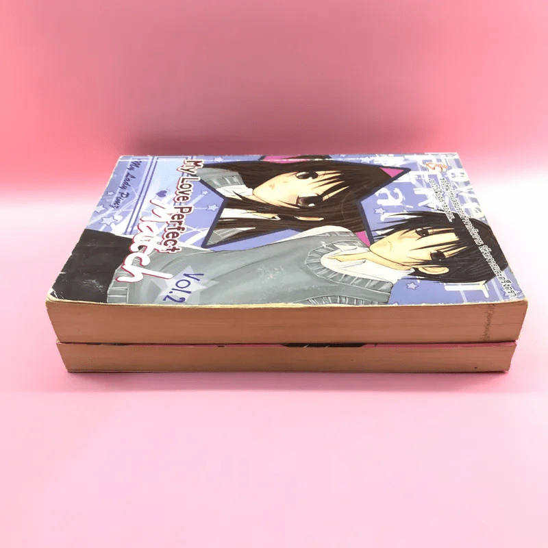 My Love Perfect Match Vol.1-2 - My Lady Ping รูปที่ 3
