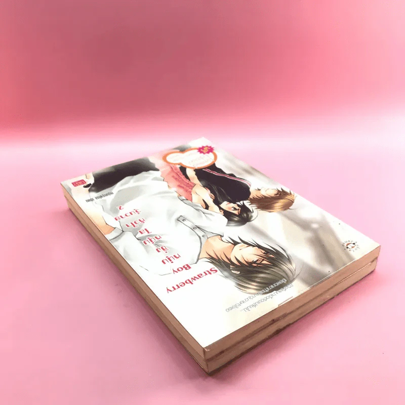 Strawberry หนุ่มซิ่วหนุ่มใสหัวใจวุ่นวาย 2 เล่มจบ - หนุ่มกรุงโซล รูปที่ 5
