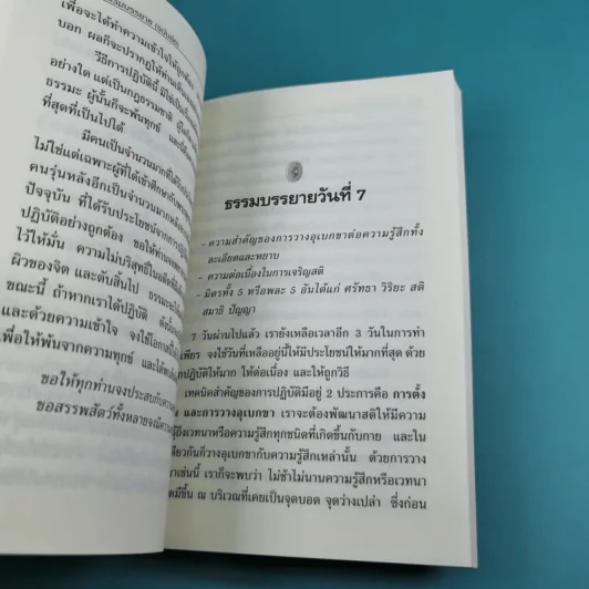 ธรรมบรรยายฉบับย่อ The Discourse Summaries - ท่านอาจารย์โกเอ็นก้า รูปที่ 16