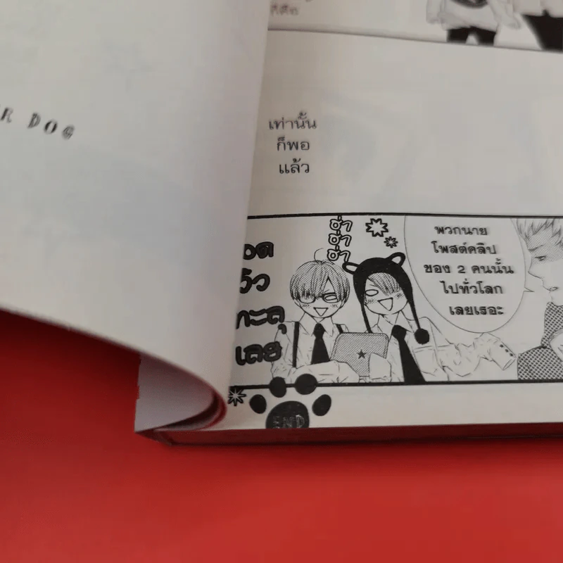 การ์ตูนวาย รักล้นใจของนายตูบ รูปที่ 11