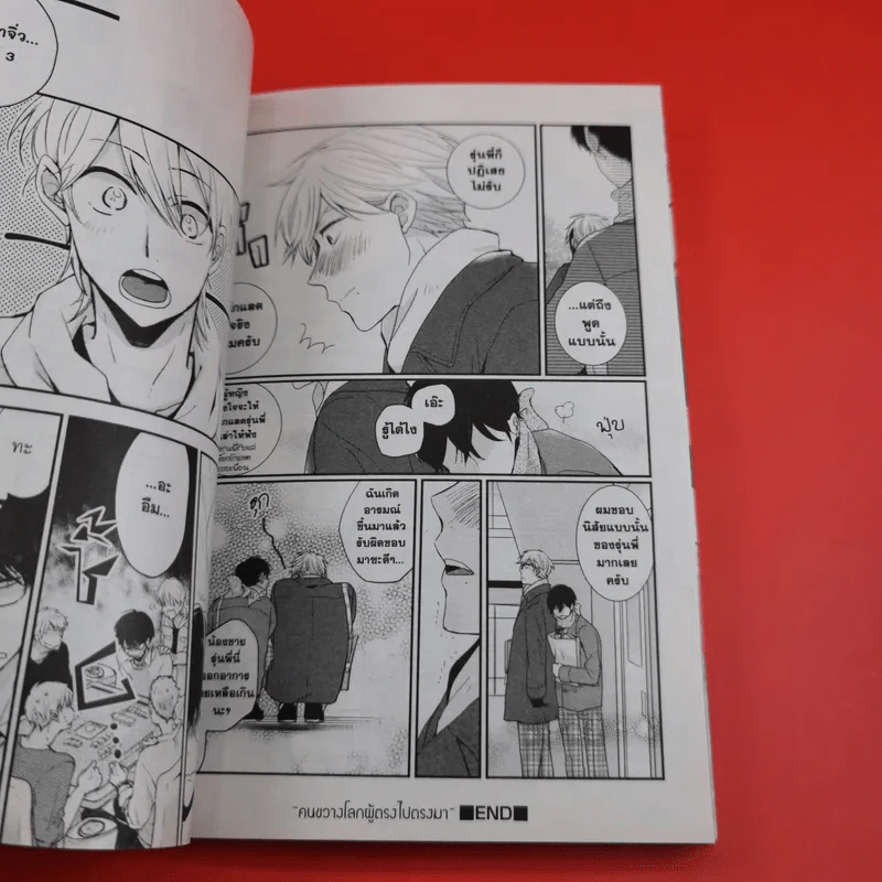 การ์ตูนวาย หนุ่มสายเปย์ขอให้ผมเป็นแมงดา - Fuyo Kareshi Kasui รูปที่ 11