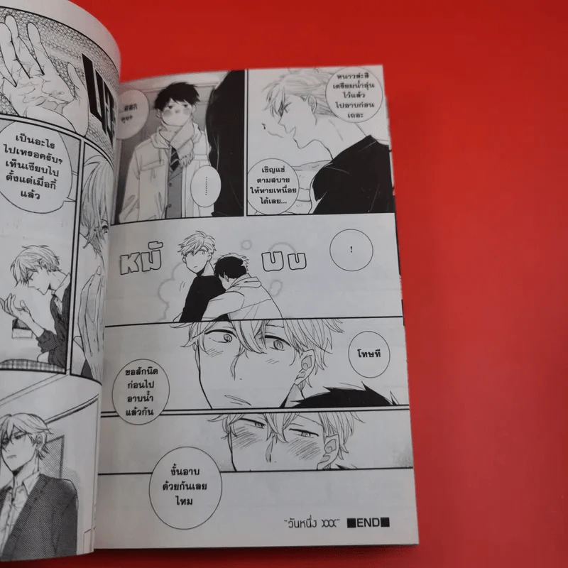 การ์ตูนวาย หนุ่มสายเปย์ขอให้ผมเป็นแมงดา - Fuyo Kareshi Kasui รูปที่ 10