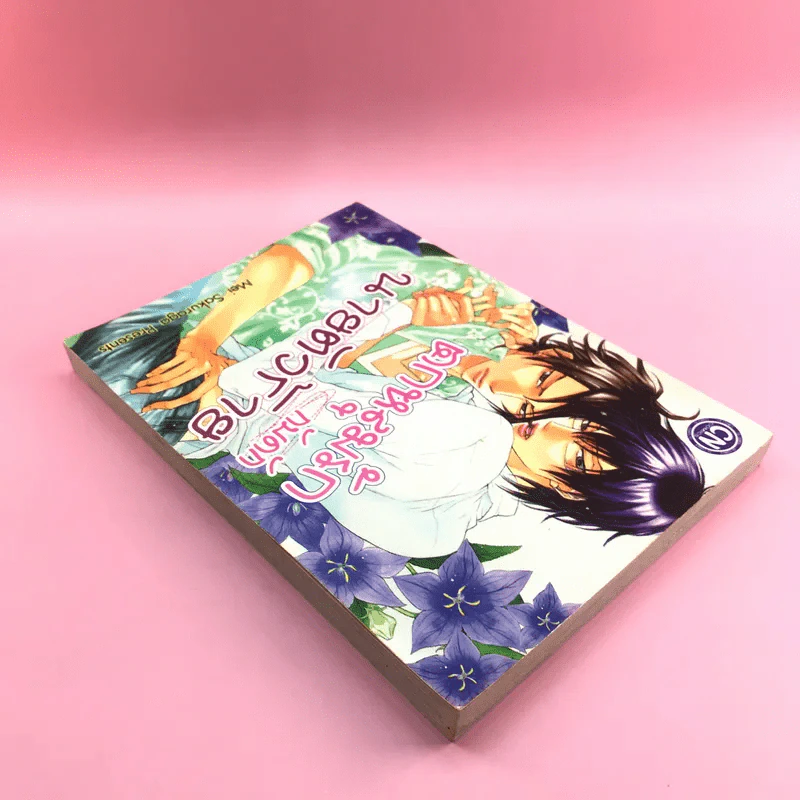 การ์ตูนวาย ตกหลุมรักกับดักนายตัวร้าย - Mei Sakuraga รูปที่ 5