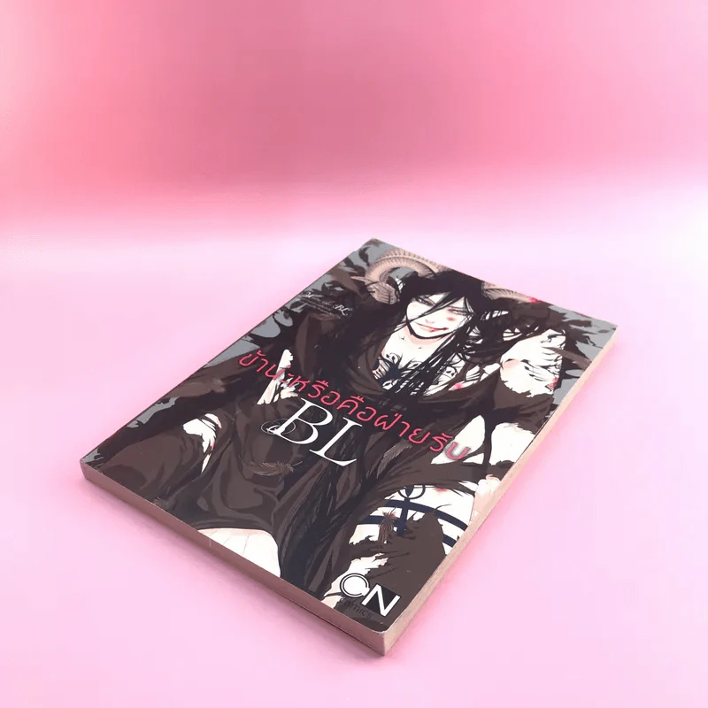 การ์ตูนวาย ข้าน่ะหรือคือฝ่ายรับ - BL รูปที่ 4