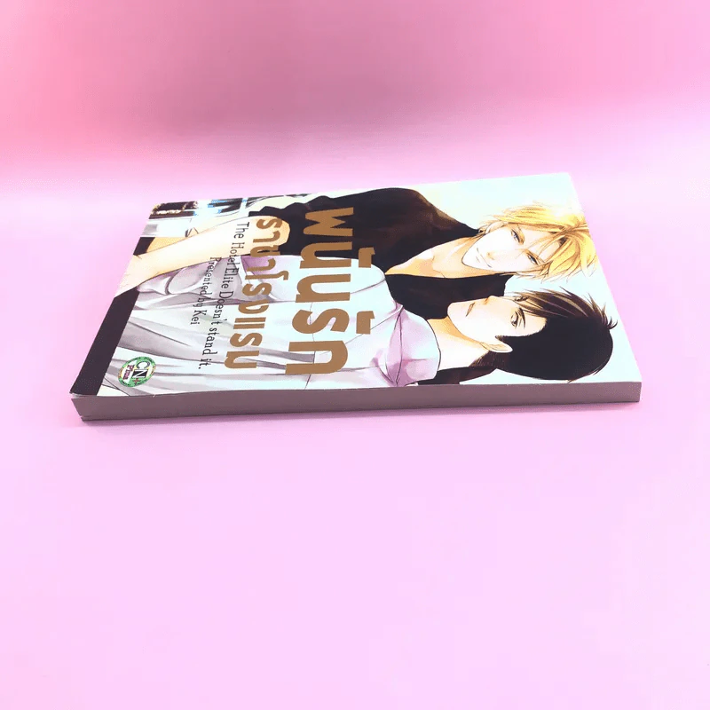 การ์ตูนวาย พนันรักราชาโรงแรม - Kei รูปที่ 3