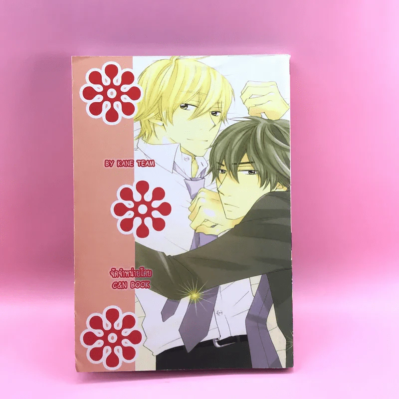 การ์ตูนวาย B' coz u บี คอซ ยู - Sachi Murakami รูปที่ 9