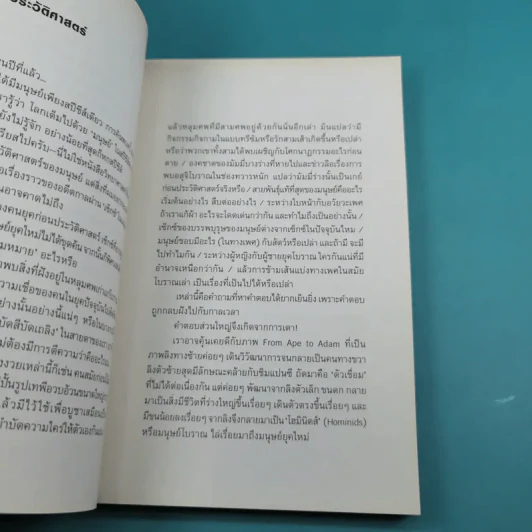 Early Desire ประวัติศาสตร์ใต้สะดือ - โตมร ศุขปรีชา รูปที่ 11