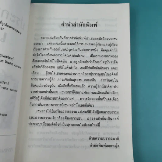ประกายแห่งเซน - หวางเฉาชง รูปที่ 11