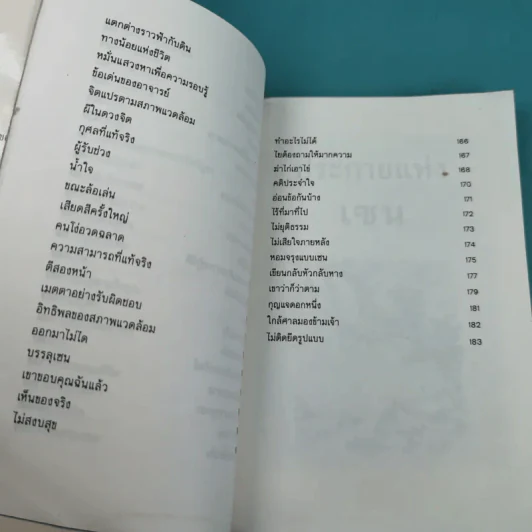 ประกายแห่งเซน - หวางเฉาชง รูปที่ 15