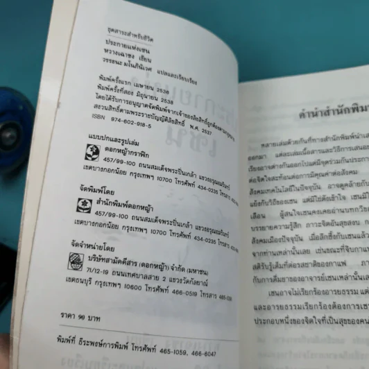 ประกายแห่งเซน - หวางเฉาชง รูปที่ 10