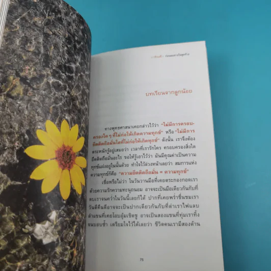 ก่อนลมหายใจสุดท้าย - ว.วชิรเมธี รูปที่ 13