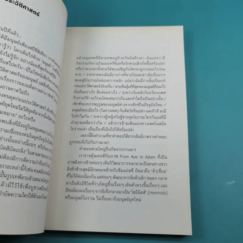 Early Desire ประวัติศาสตร์ใต้สะดือ - โตมร ศุขปรีชา รูปที่ 11