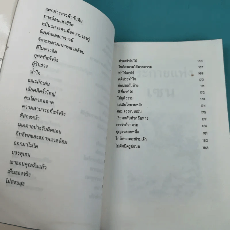 ประกายแห่งเซน - หวางเฉาชง รูปที่ 15