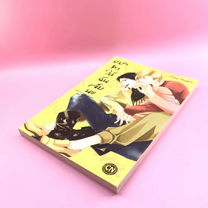 การ์ตูนวาย อย่าทำให้ฉันเจ็บนะ - Riona รูปที่ 4