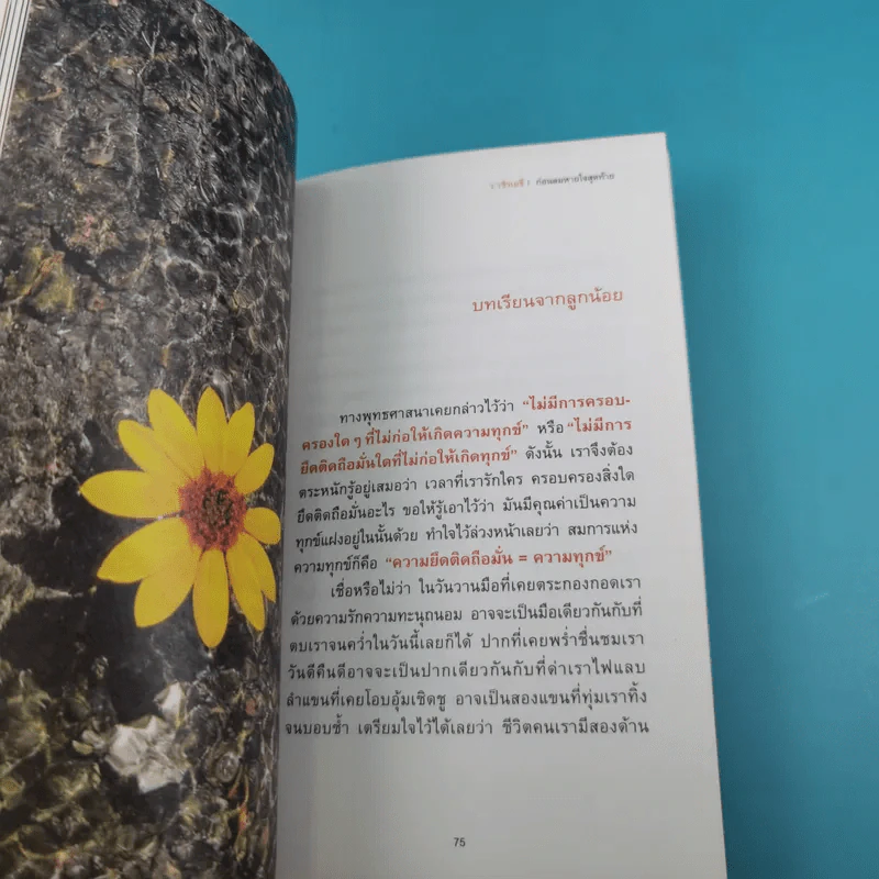 ก่อนลมหายใจสุดท้าย - ว.วชิรเมธี รูปที่ 13