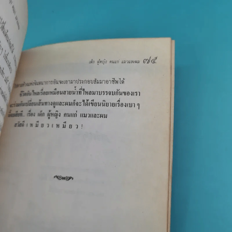 เด็ก ผู้หญิง คนแก่ แมวและผม - อัศศิริ ธรรมโชติ รูปที่ 12