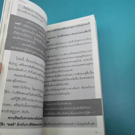 ดั่งผีเสื้อเถื่อน - พนม นันทพฤกษ์ รูปที่ 9