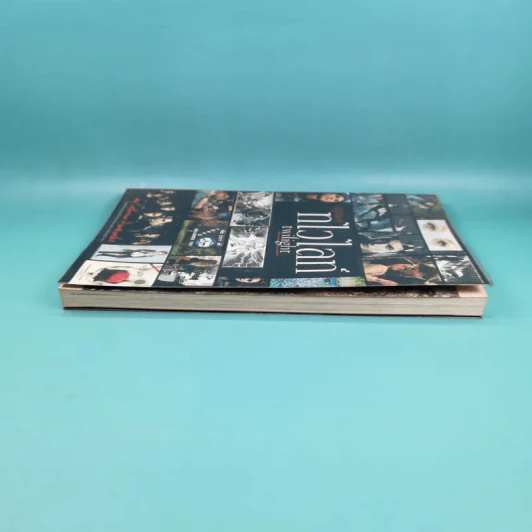 ปฏิบัติการทไวไลท์ Twilight Director's Notebook รูปที่ 5