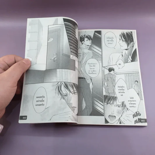 การ์ตูนวาย ผู้ชายในอุดมคติที่ไม่อยากมีอะไรด้วย 2 เล่มจบ รูปที่ 11
