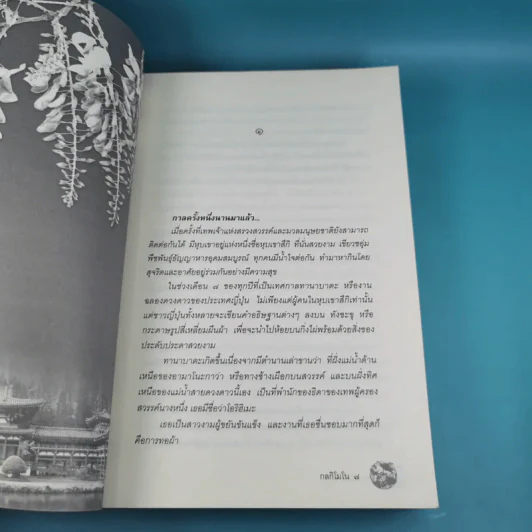 กลกิโมโน - พงศกร รูปที่ 12