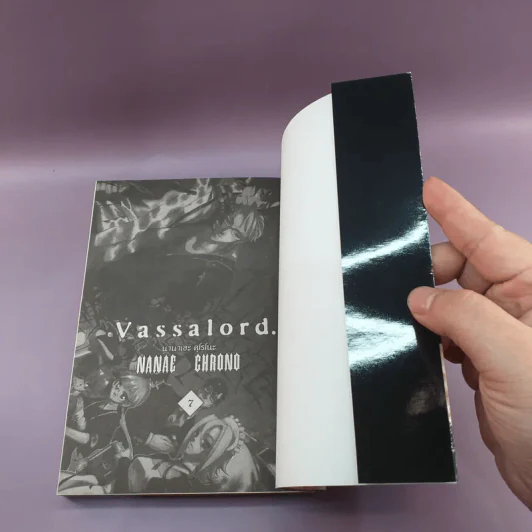 Vassalord 7 เล่มจบ รูปที่ 12