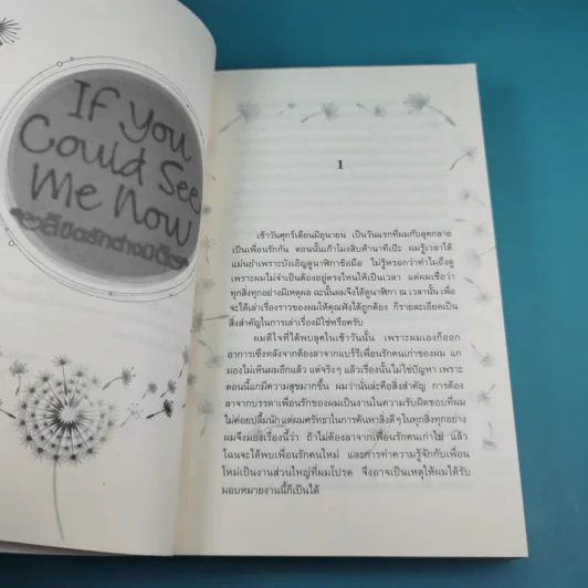 If You Could See Me Now ลิขิตรักต่างมิติ - Cecelia Ahern รูปที่ 10
