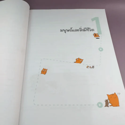 ศัพท์อังกฤษแค่ Read ก็ Get ตอน คำใกล้ตัวที่น่ารู้ - Moon Deok รูปที่ 9