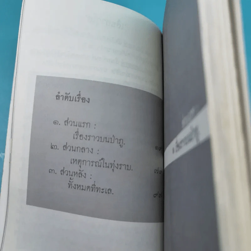 ดั่งผีเสื้อเถื่อน - พนม นันทพฤกษ์ รูปที่ 8