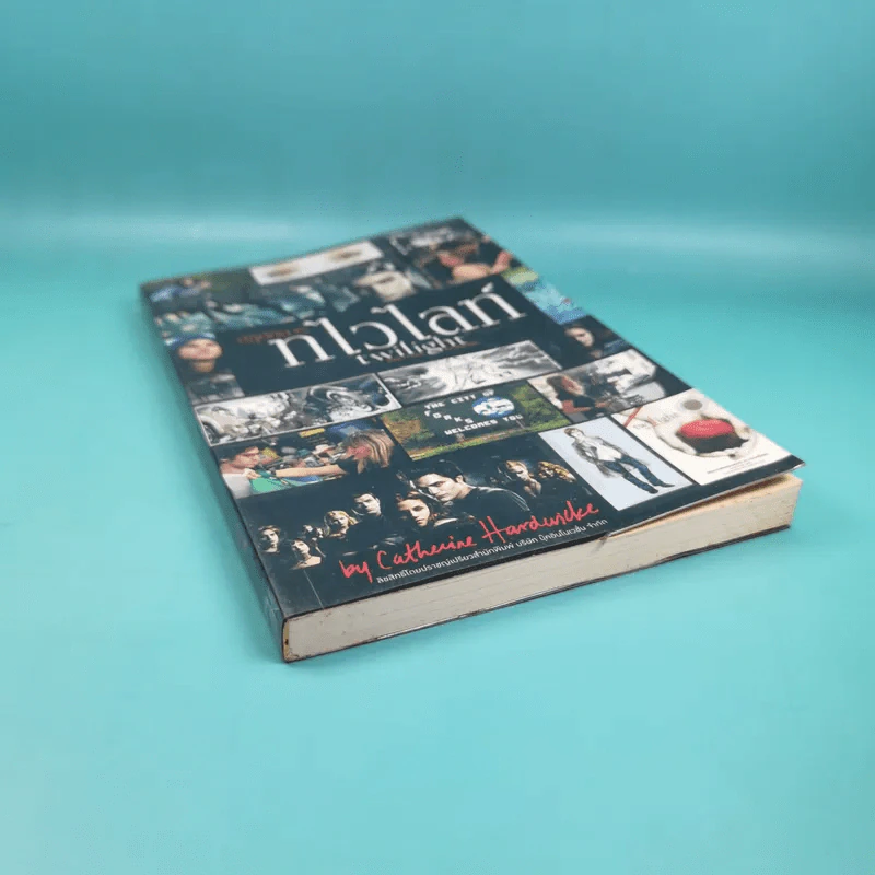ปฏิบัติการทไวไลท์ Twilight Director's Notebook รูปที่ 4