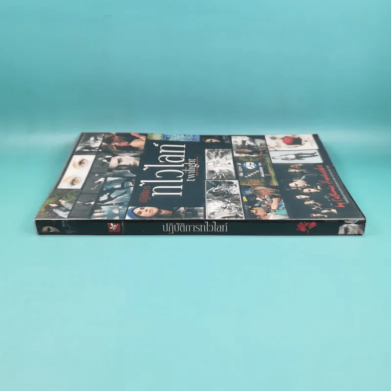 ปฏิบัติการทไวไลท์ Twilight Director's Notebook รูปที่ 3