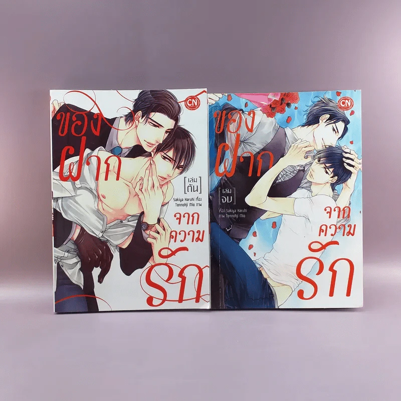 นิยายวาย ของฝากจากความรัก 2 เล่มจบ รูปที่ 1