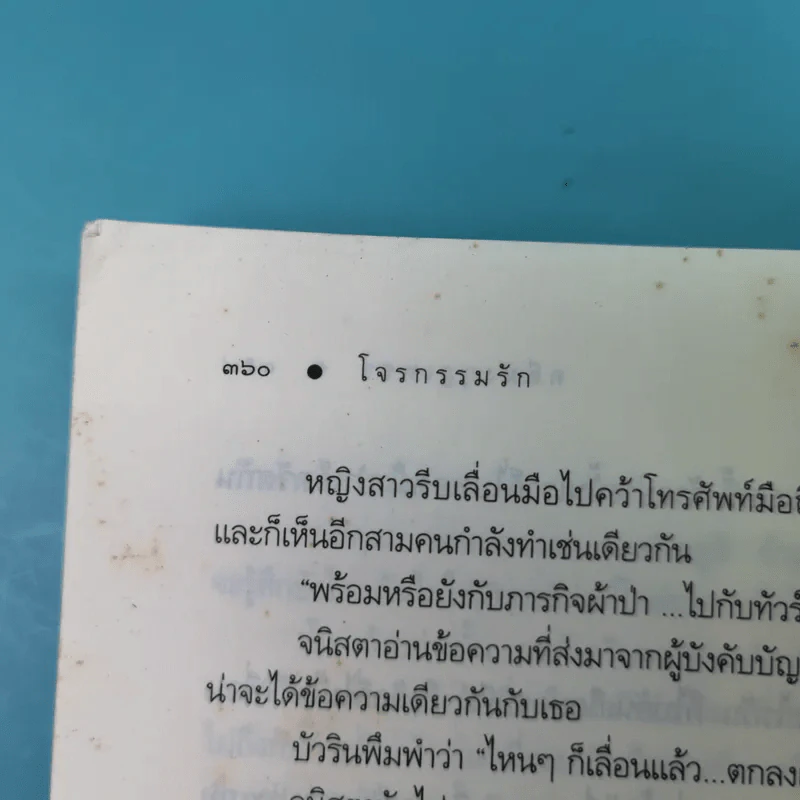 โจรกรรมรัก คดีมงกุฎเพชร รูปที่ 13