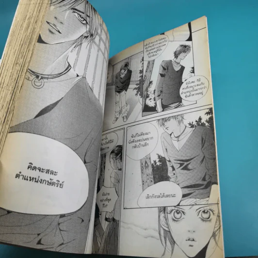 เจ้าหญิงจอมจุ้นกับรักวุ่นๆในวัง เล่ม 1-5 รูปที่ 20