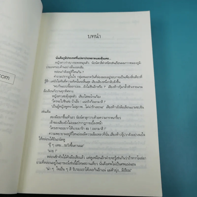 สารานุกรมรักฉบับปีศาจ - อมราวตี รูปที่ 8