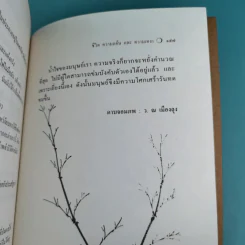 ชีวิต ความแค้น และความเหงา - โก้วเล้ง รูปที่ 15