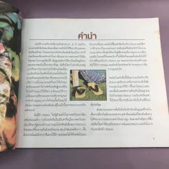 ศิลปะการทอการพับและการย้อมสีผ้า ชิโบริ รูปที่ 8