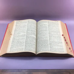 Random House Webster's College Dictionary รูปที่ 19