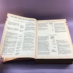 Random House Webster's College Dictionary รูปที่ 16