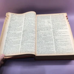 Random House Webster's College Dictionary รูปที่ 18