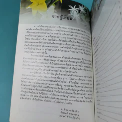 ไม้เอกหอมในป่าสะแกราช รูปที่ 10