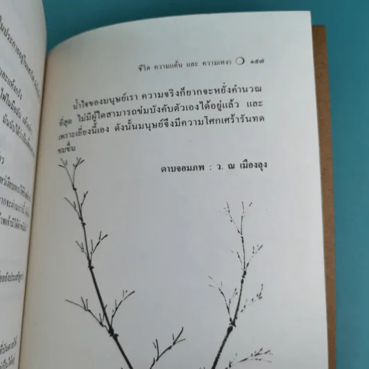 ชีวิต ความแค้น และความเหงา - โก้วเล้ง รูปที่ 15