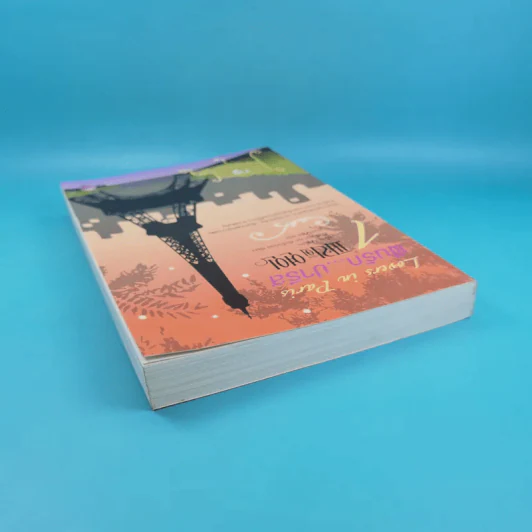 Lovers in Paris ฝันรักปารีส รูปที่ 6