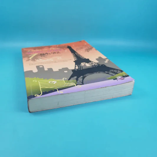 Lovers in Paris ฝันรักปารีส รูปที่ 4