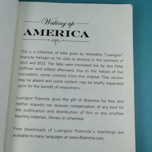 Waking Up America - Jess Peter Koffman รูปที่ 8