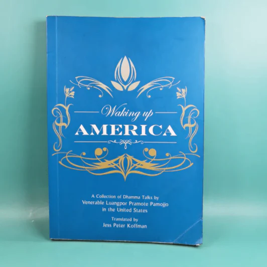 Waking Up America - Jess Peter Koffman รูปที่ 1