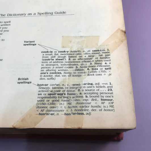 Random House Webster's College Dictionary รูปที่ 17