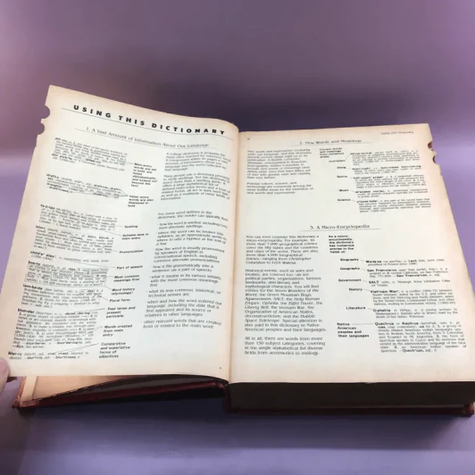 Random House Webster's College Dictionary รูปที่ 16