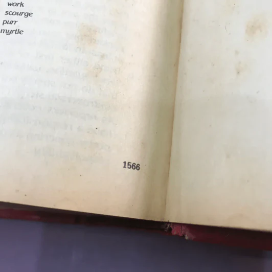Random House Webster's College Dictionary รูปที่ 20