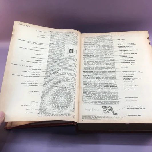 Random House Webster's College Dictionary รูปที่ 15